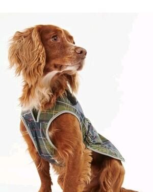Barbour Wax Dog Coat Jacket L Large Green Tartan Waterproof Waxed Cotton